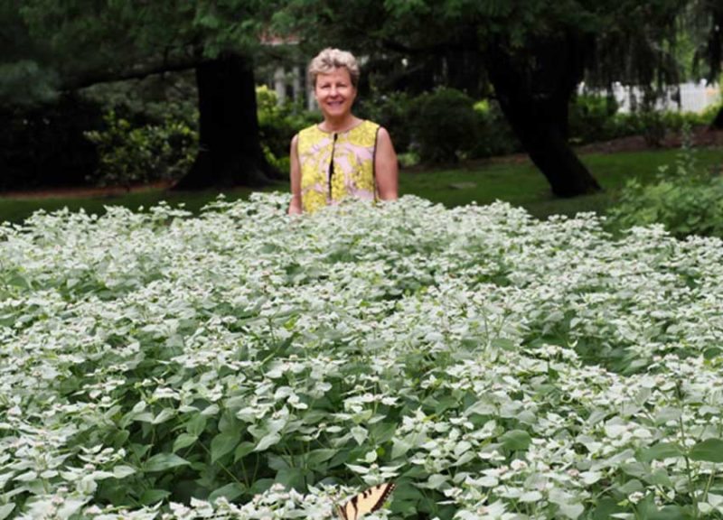 Sally Malanga in her pollinator garden
