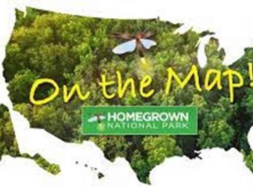 Ecco Bella’s in-house pollinator garden is listed on the Home Grown National Park Map